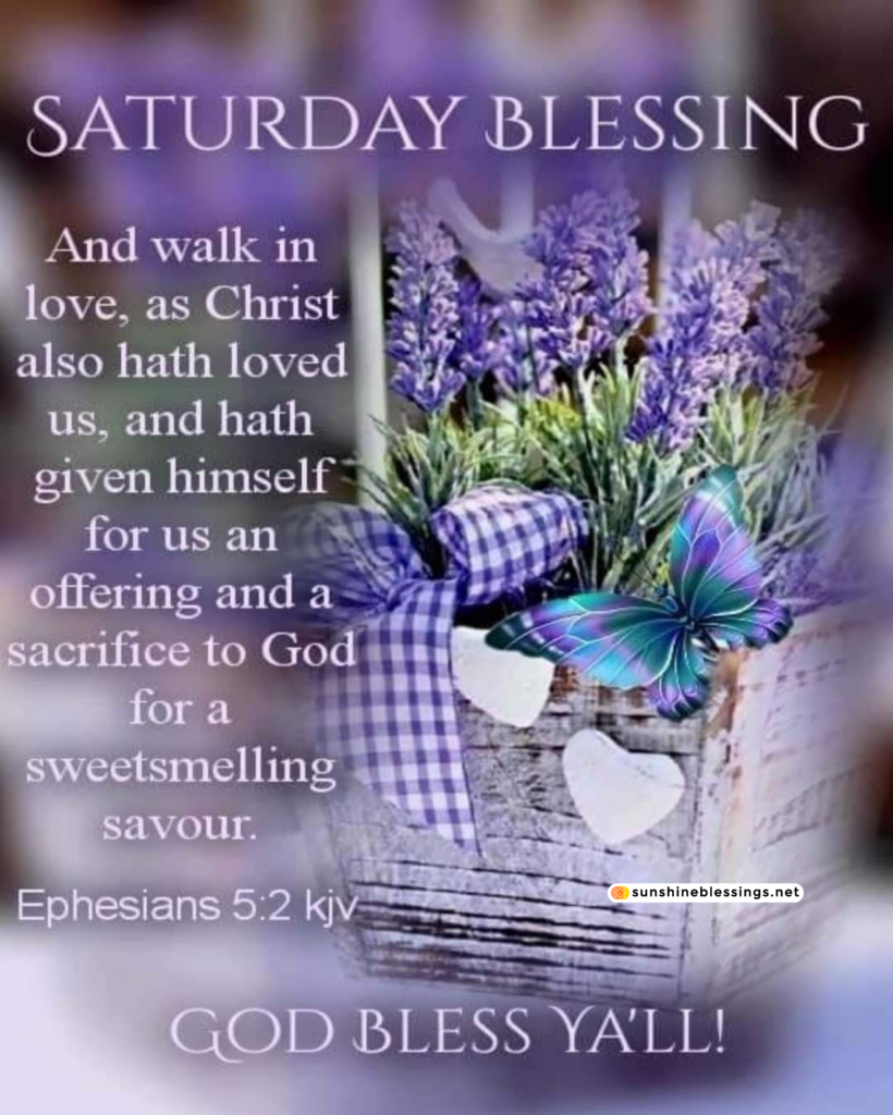 A Day Filled with Saturday Blessings
