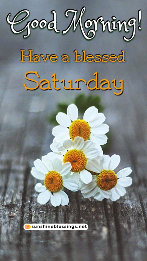 Blessings and Delight Saturday's Serene Start