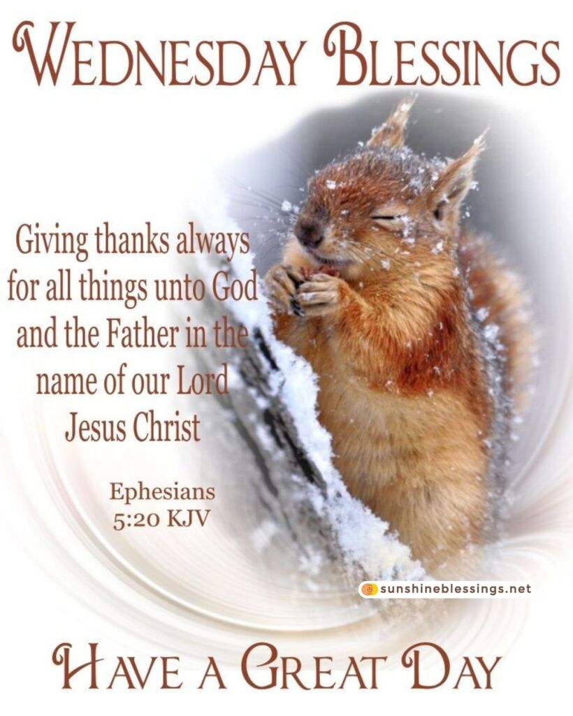 Embrace the Blessings of Wednesday (1)