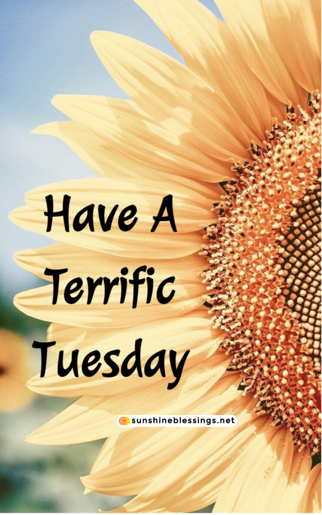 Embracing Tuesday's Delightful Blessings