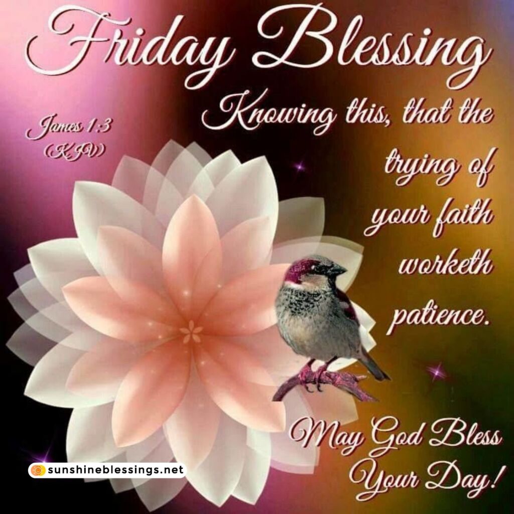 Friday Blessings in Nature