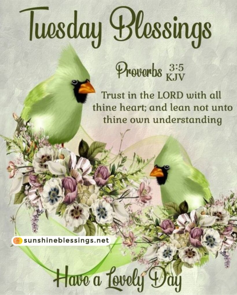 God Bless Your Happy Tuesday