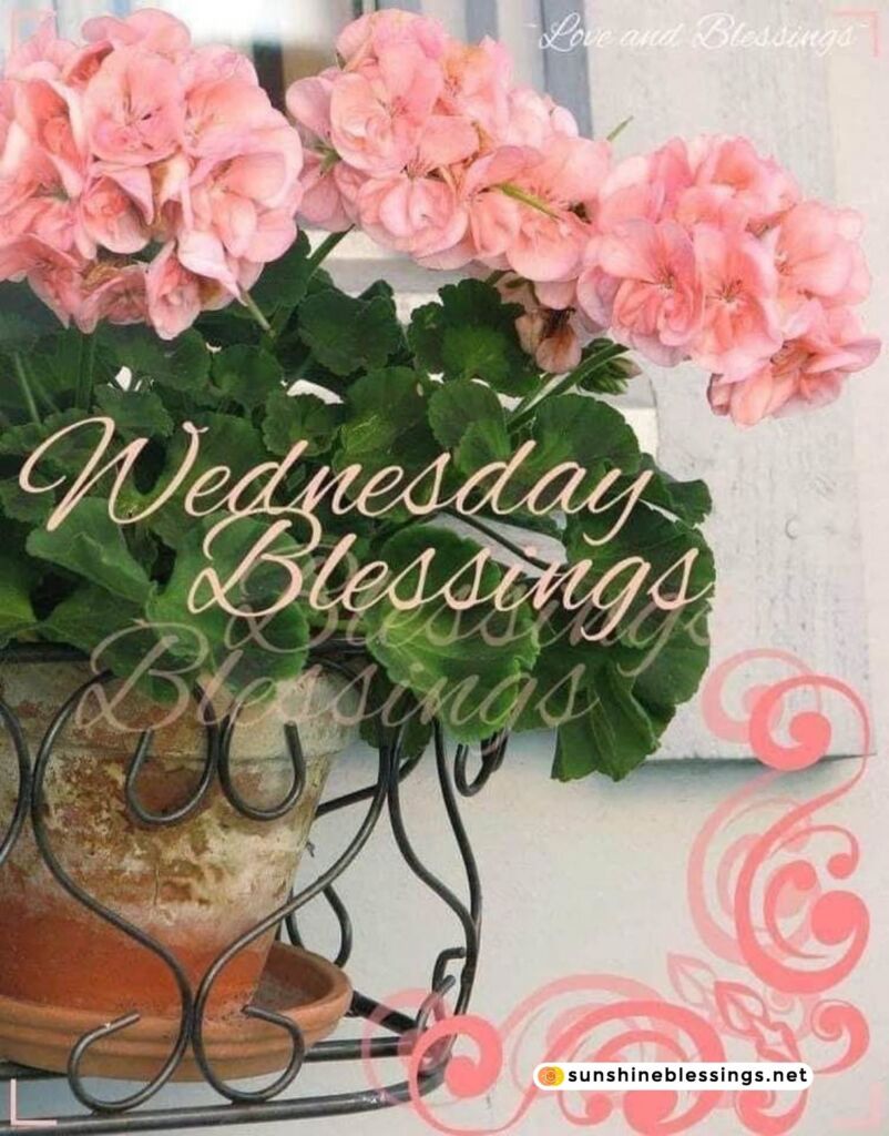 God Bless Your Happy Wednesday