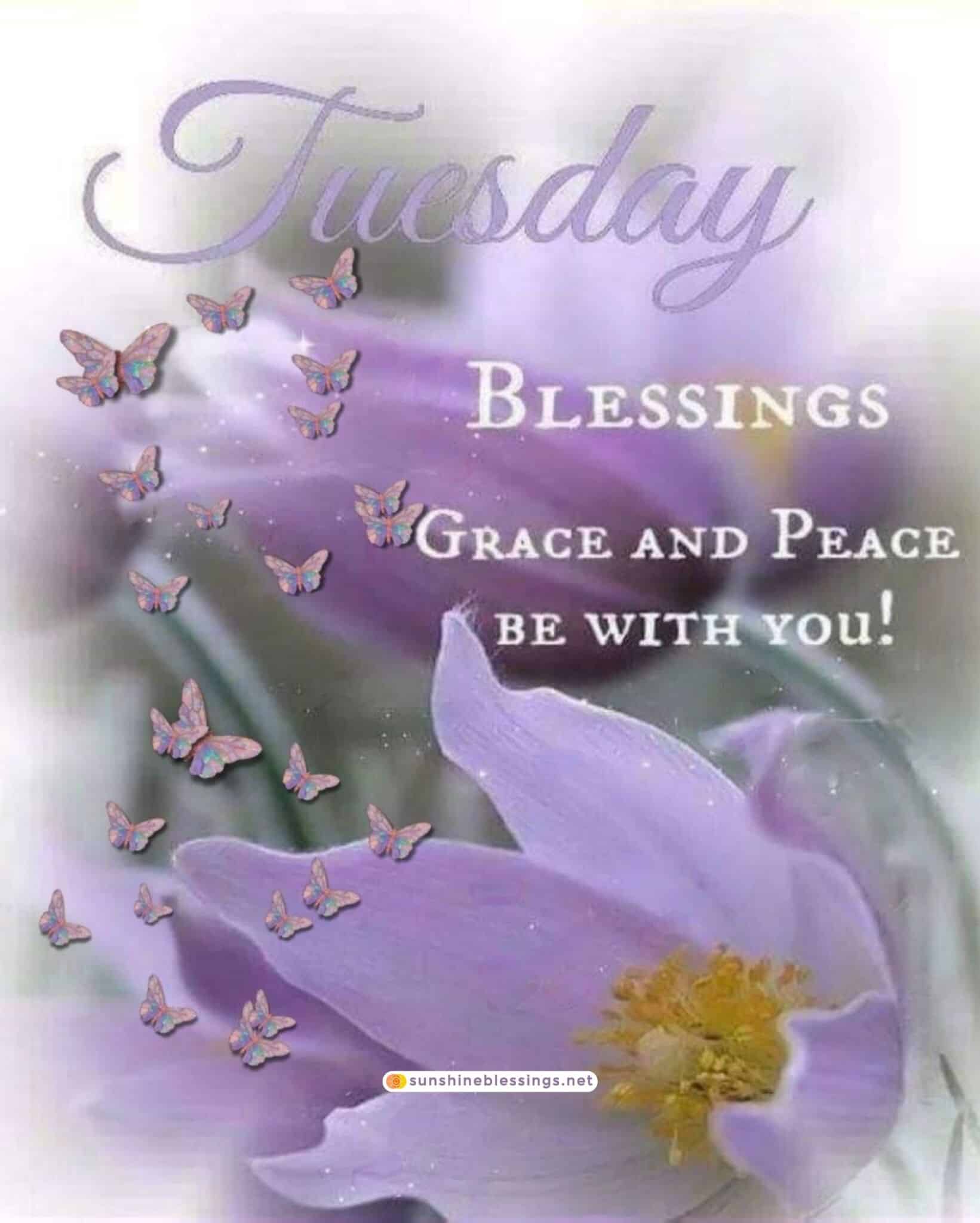 100+ Tuesday Blessings Images To Inspire Your Day