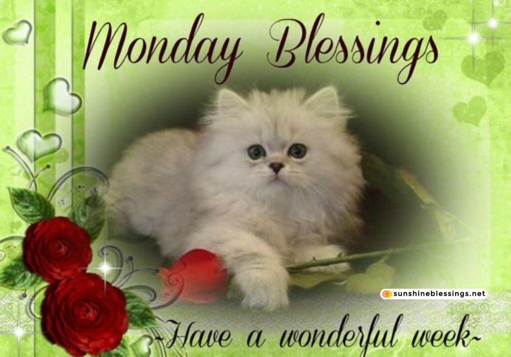 Good Morning and Blessings on Monday