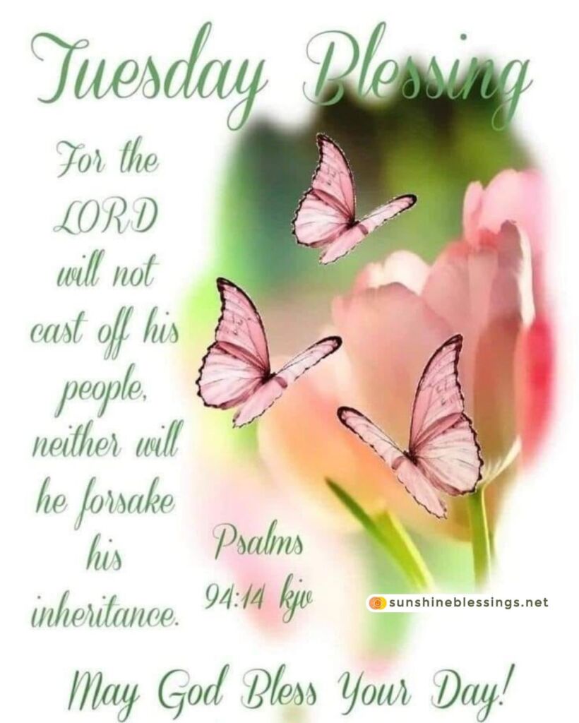 Graceful Tuesday Blessings Shine