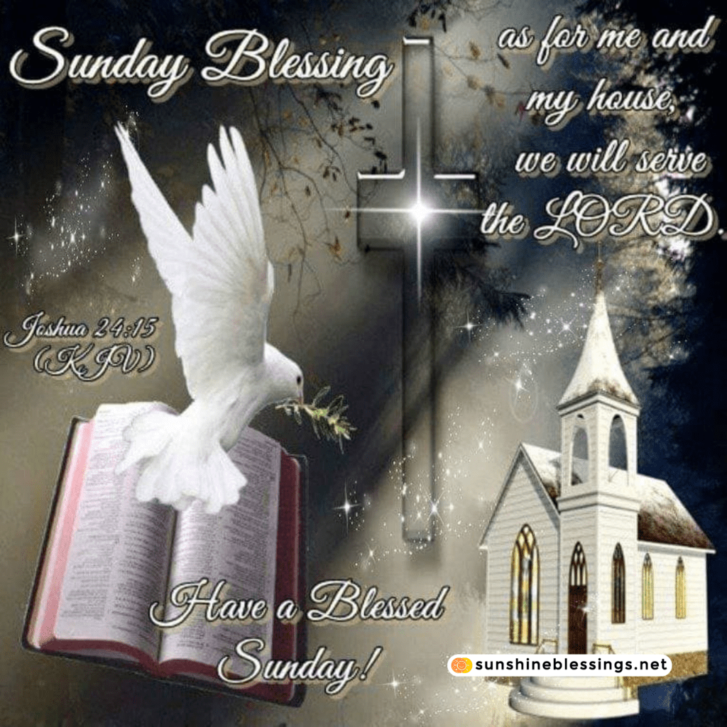 Happy Sunday Blessings Radiance