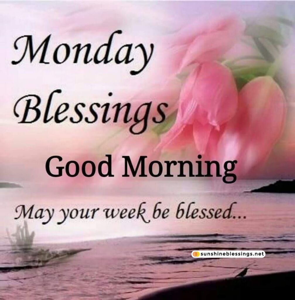 Happy and Blessed Monday Greetings