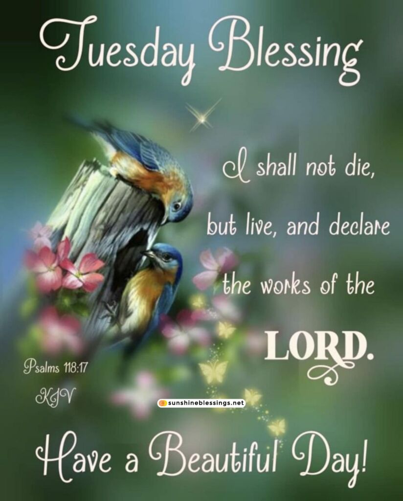 Happy and Blessed Tuesday Greetings