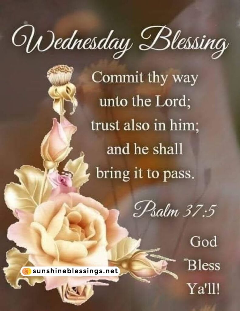 Happy and Blessed Wednesday Greetings