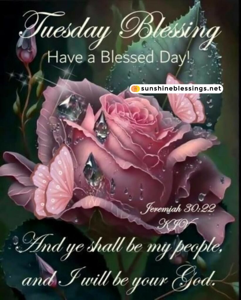 Have a Wonderful Tuesday Blessing
