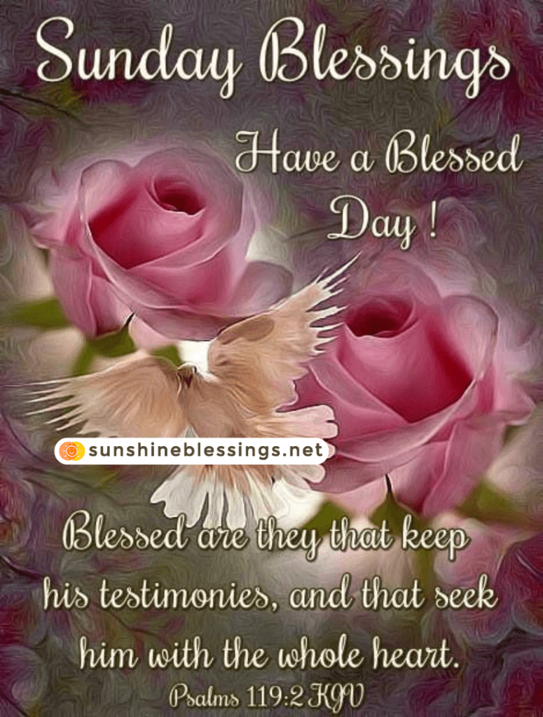 Sunday Blessings in Full Bloom