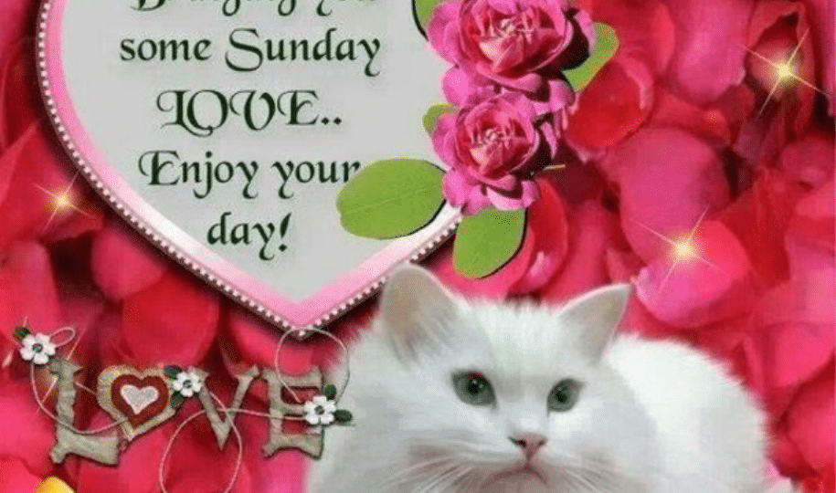 Sunday s Blessings Embrace