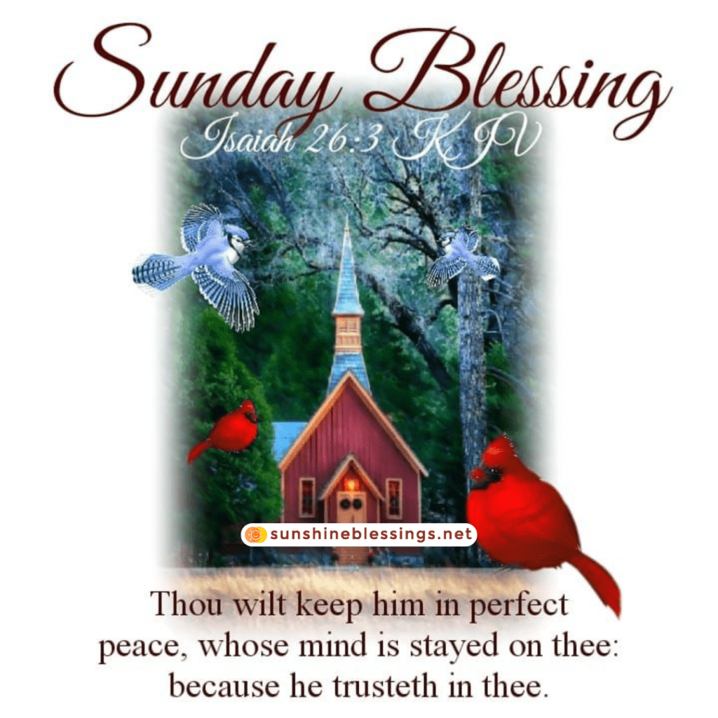 Sunday's Blessings Radiate Love