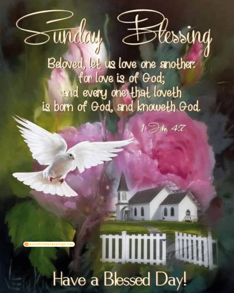 Sunday's Blessings Spread