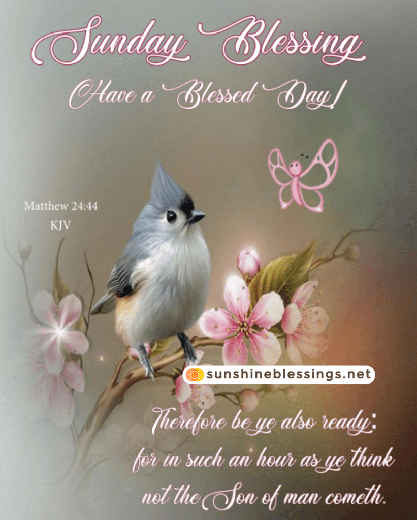 Sunday's Blessings Unveiled