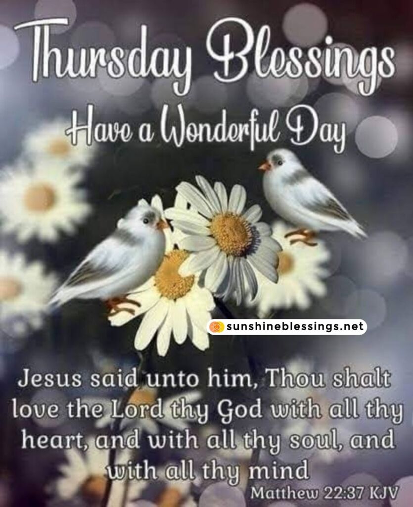 Thursday Morning Blessings Blossom