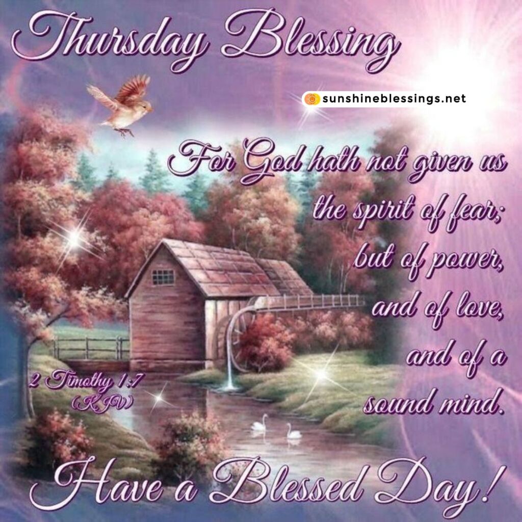 Thursday's Blessings Abound