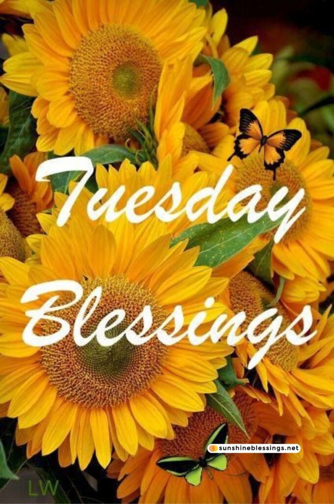 Tuesday Morning Blessings Blossom
