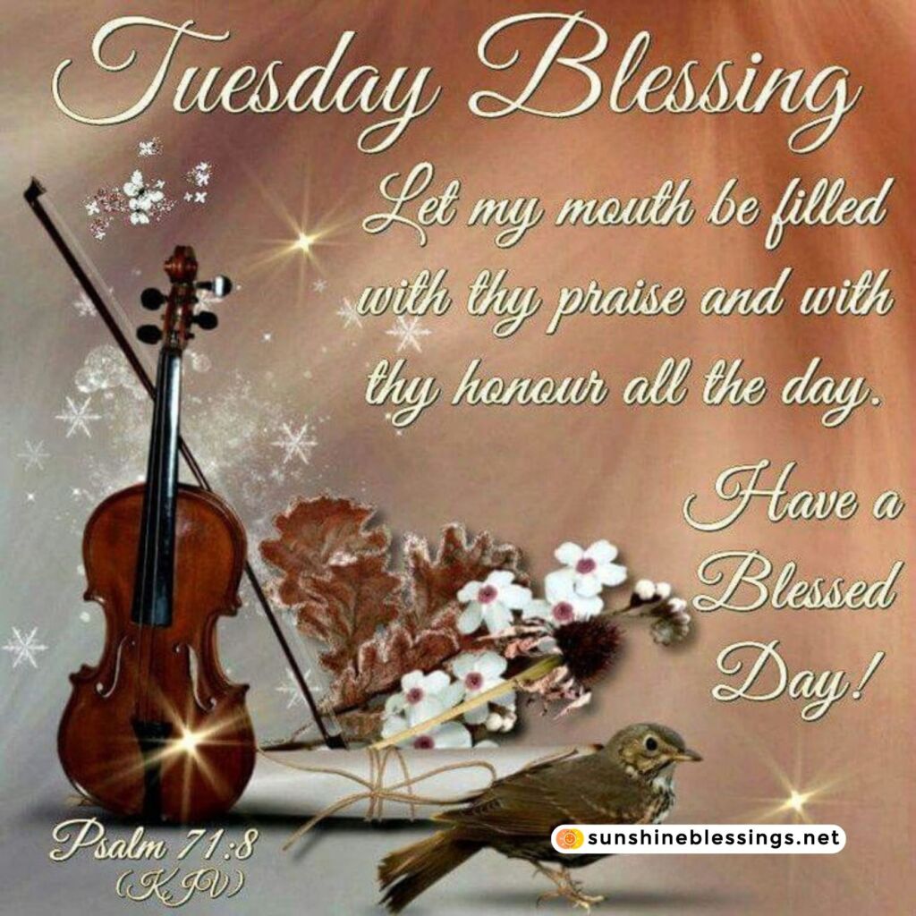 Tuesday Morning Blessings Delight