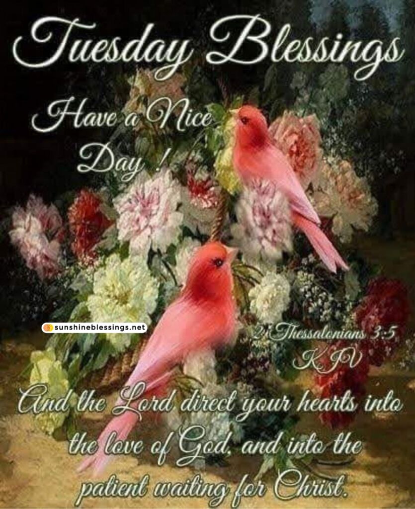 Tuesday Morning Blessings Rejoice