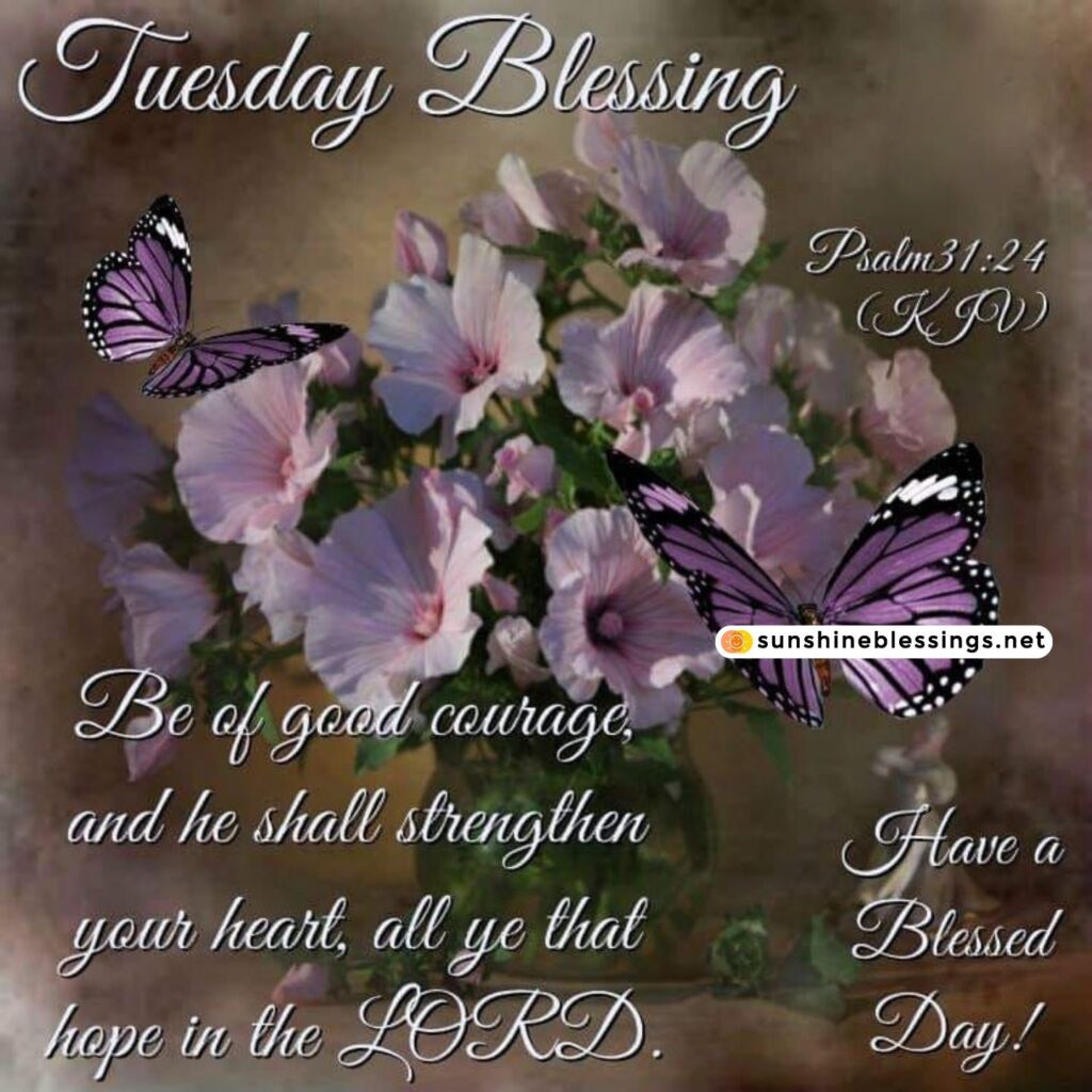 Tuesday's Blessings Illuminate Souls