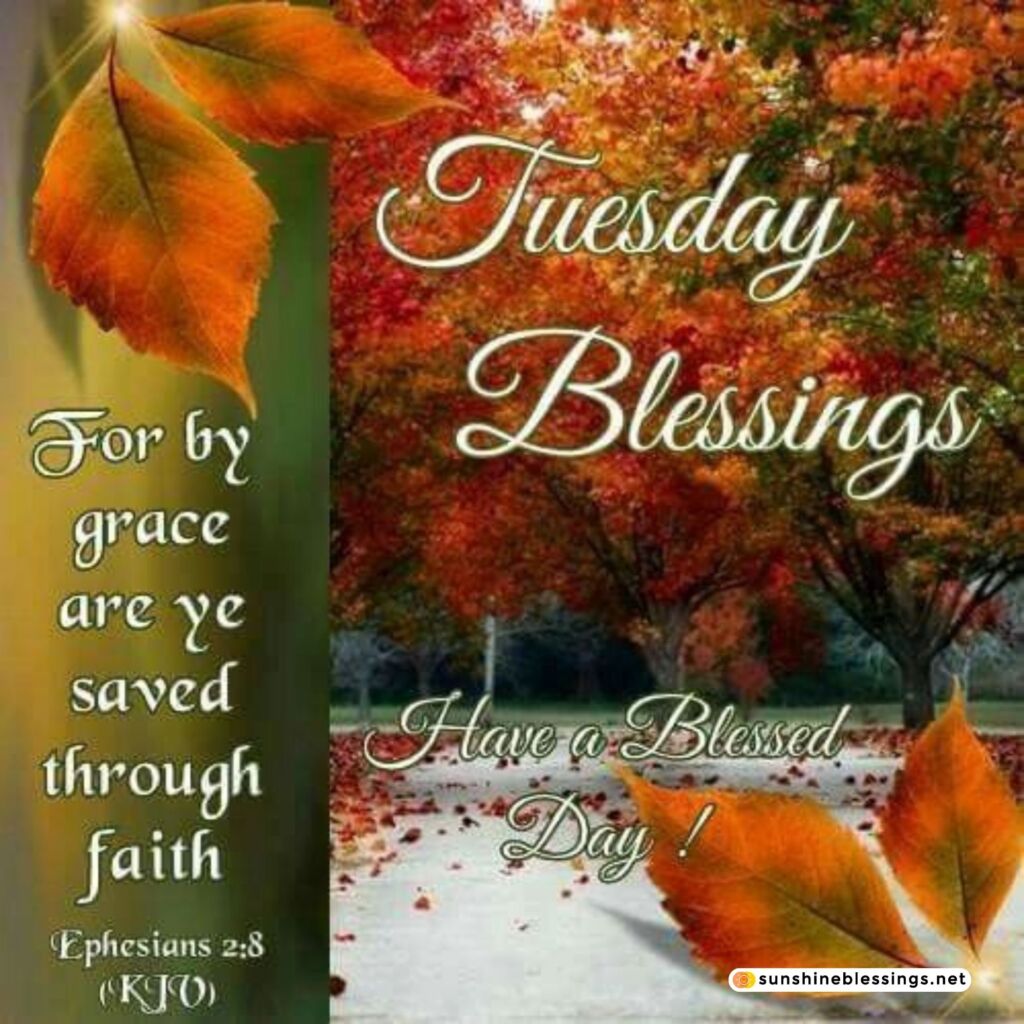 Tuesday's Blessings Unite