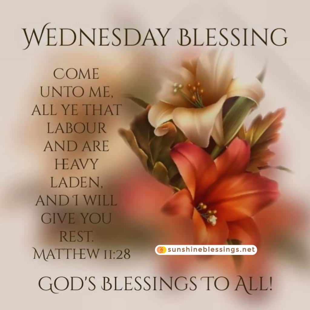 Wednesday Blessings Embrace Life