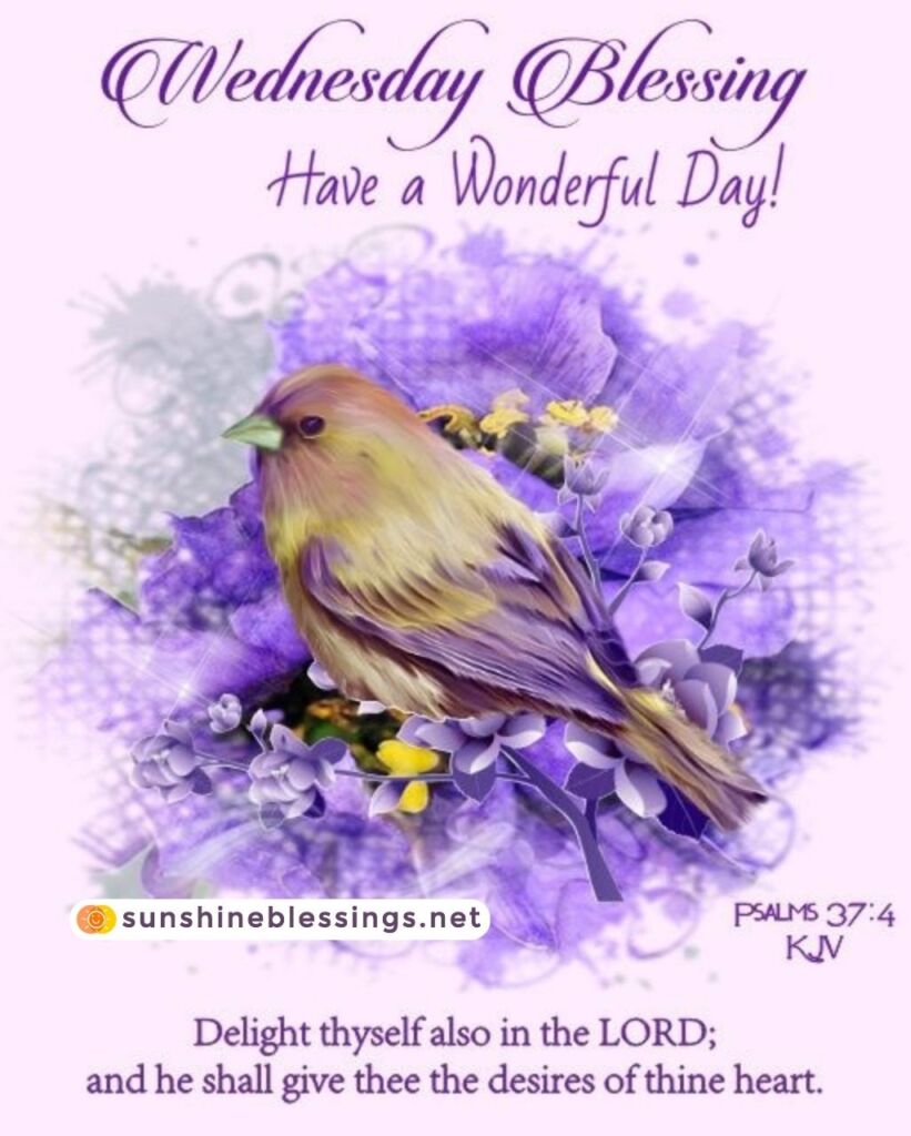 Wednesday Morning Gratitude and Blessings