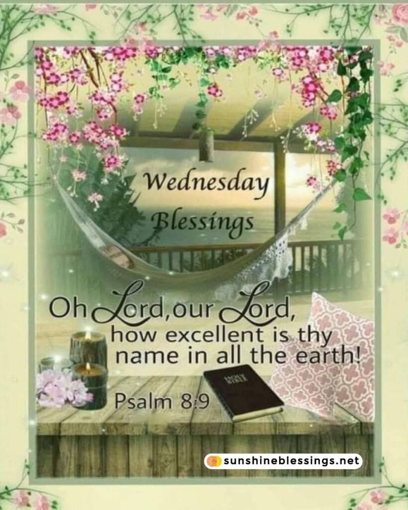 Wednesday's Blessings and Joy