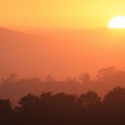 Silhouette of trees against a tranquil morning landscape.