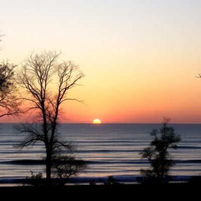 Silhouetted trees and waves at dawn, symbolizing renewal.