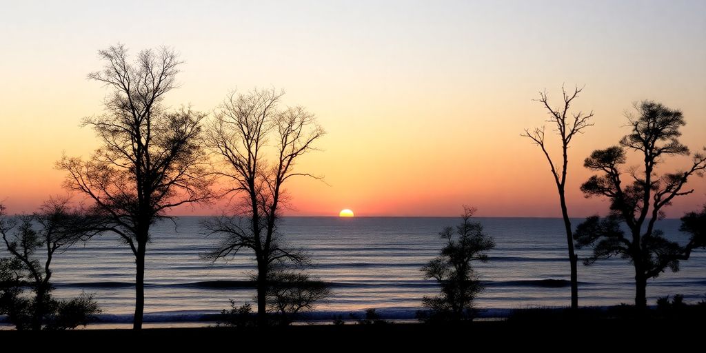 Silhouetted trees and waves at dawn, symbolizing renewal.