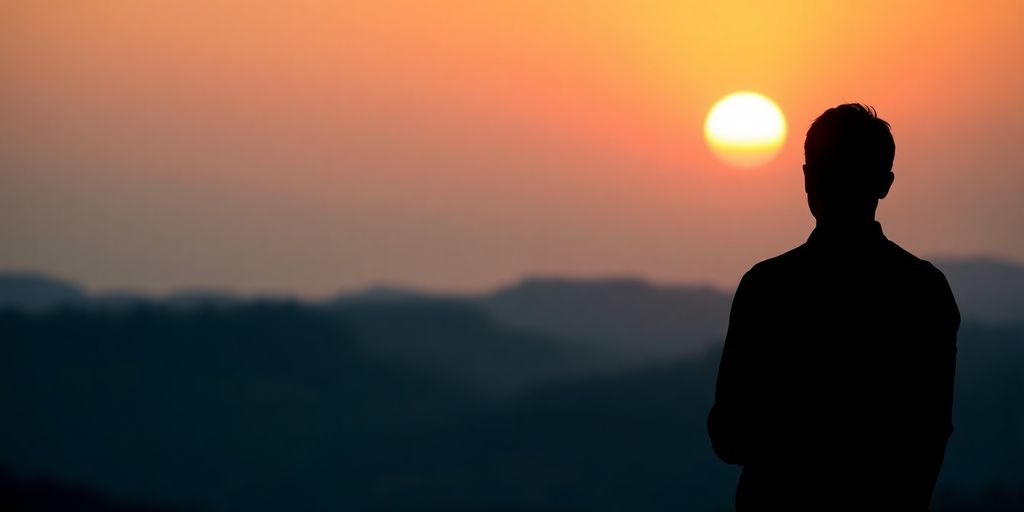 Silhouette gazing at a sunrise over a landscape.