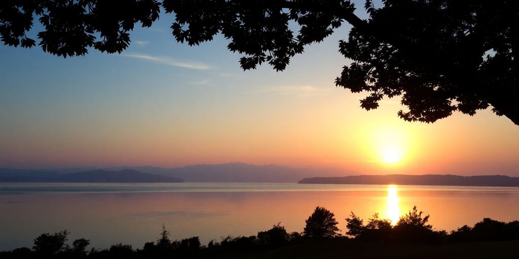 Silhouette of trees by a tranquil lake at sunrise.