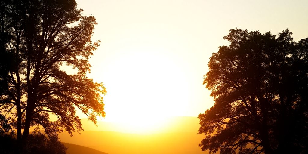 Silhouetted landscape at dawn with warm, soft light.