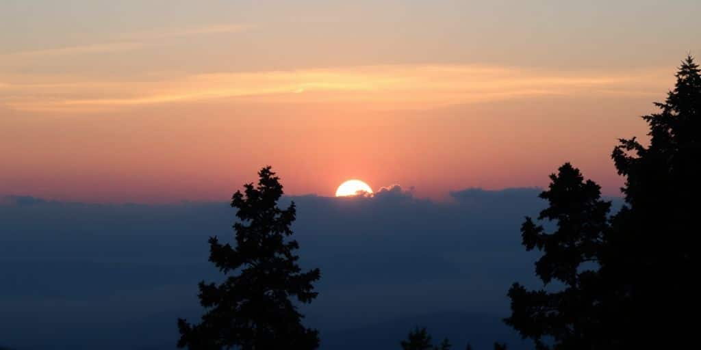 Silhouette of trees against a calming sunset sky.