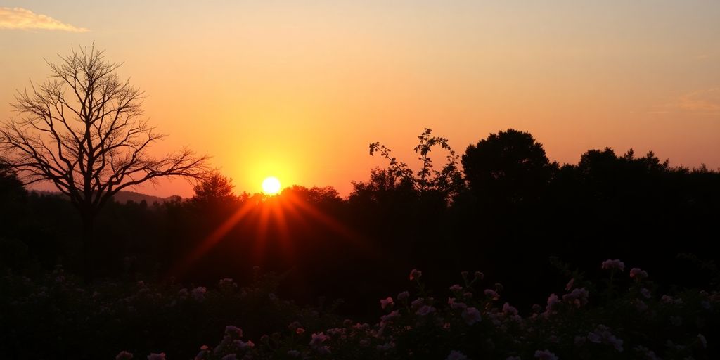 Silhouetted trees and flowers at a peaceful sunrise.