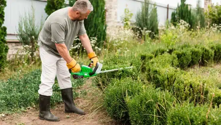 Landscaping