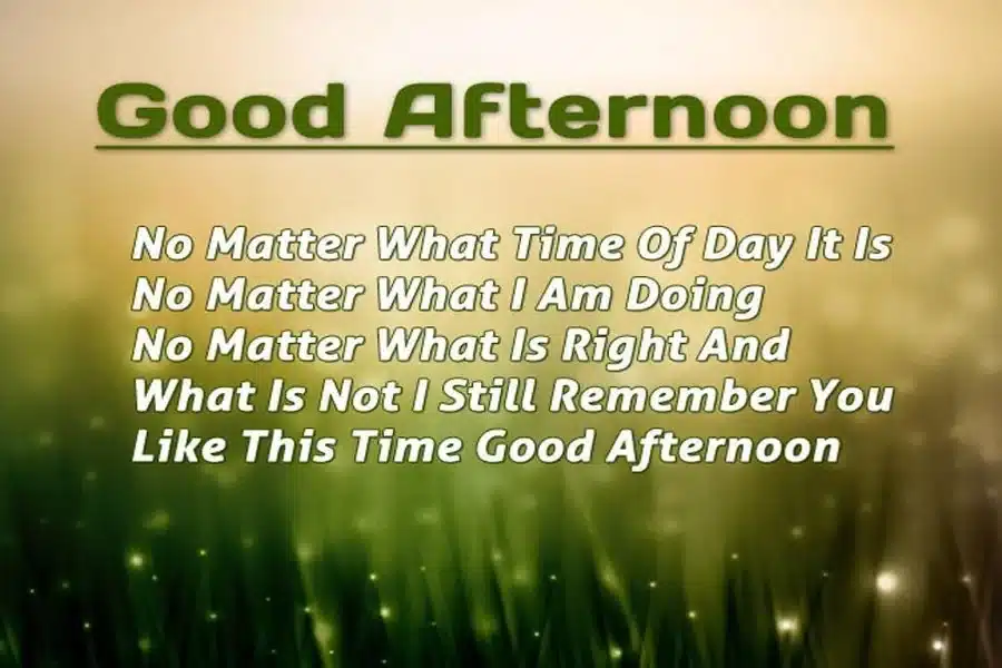 Happy Good Afternoon Quotes