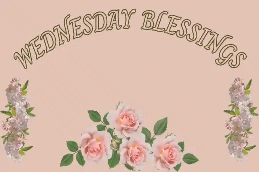 Wednesday Blessings
