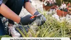 How To Find Reliable Lawn Care Near You A Homeowner’s Guide