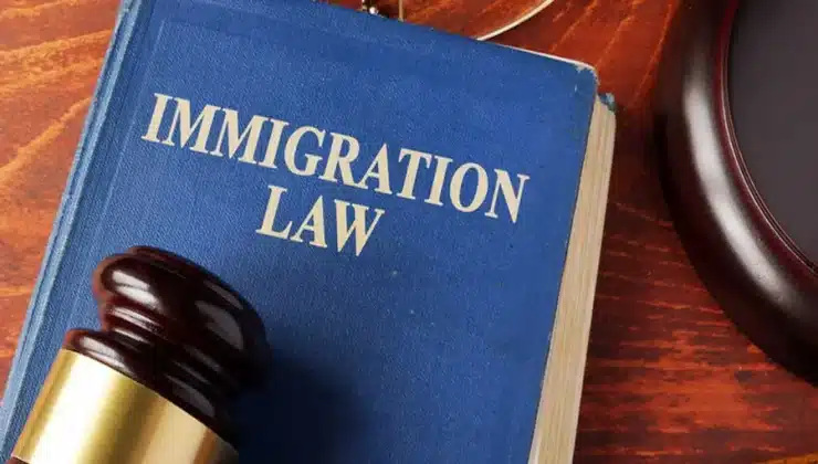 Immigration Law